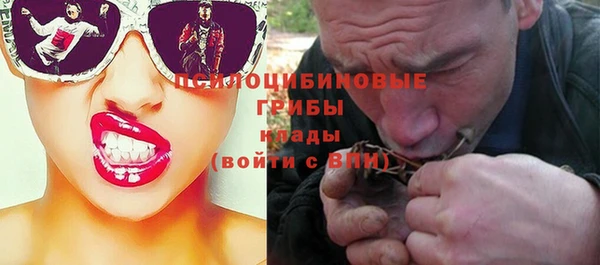 a pvp Вяземский