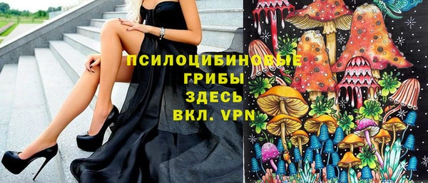a pvp Вяземский