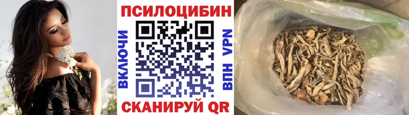 Псилоцибиновые грибы Psilocybe где найти МЕГА как зайти Обоянь